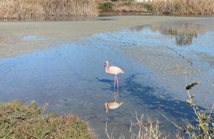 Poetto Casa Bach Ck - Foto 45