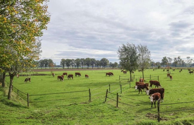 Holiday Home in Elsendorp With Garden - Foto 45