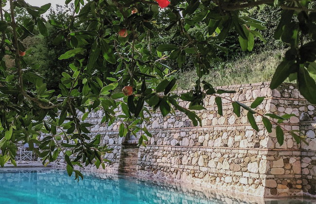 Tenuta Santojanni - Irpinia - Foto 24