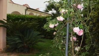 Villa Marinella - Foto 4, Garden