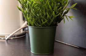 Beth House - Foto 29