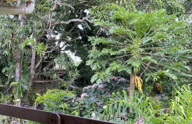 Hospedaria Recanto da Paz - Foto 64