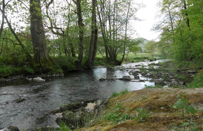 Apartment Near the ski Area in Wehrstapel - Foto 34