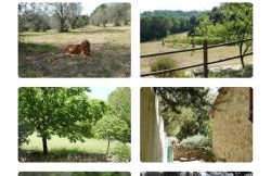 Casa Jacaranda - Foto 26