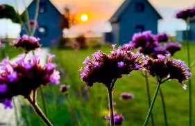 Słoneczna Przystań - Foto 46