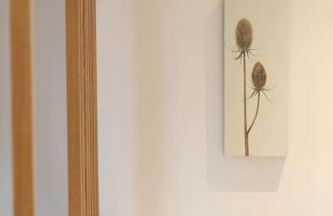 Secluded woodland annex between Mylor and Flushing - Foto 15