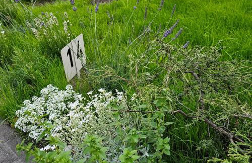 Magical places Unter den Linden - Foto 12