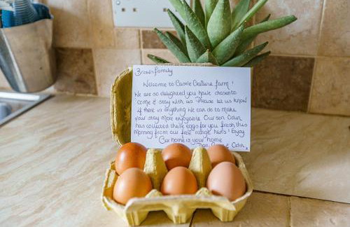 The Cheeseloft - Spacious one bed with terrace - Foto 16