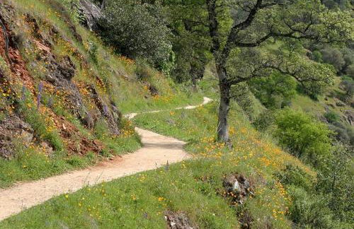 Saltwater Hot Tub, Forest Retreat, Minutes to Town - Foto 46