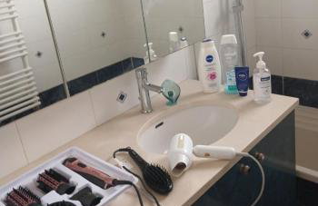 Maison 8 pièces Spa jacuzzi Paris Airport CDG jardin arboré clos - Foto 5