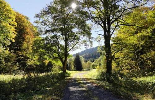 Small and Cozy Apartment in Frauenwald near Forest - Foto 62