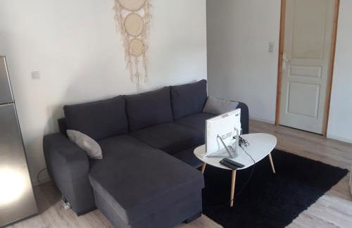 appartement f1 meublé 3 personnes - Foto 2