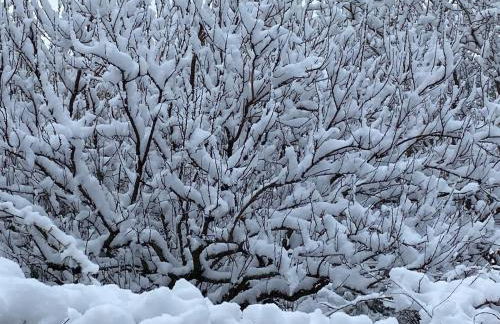 Maison de village, piscine, Colorado - Foto 6