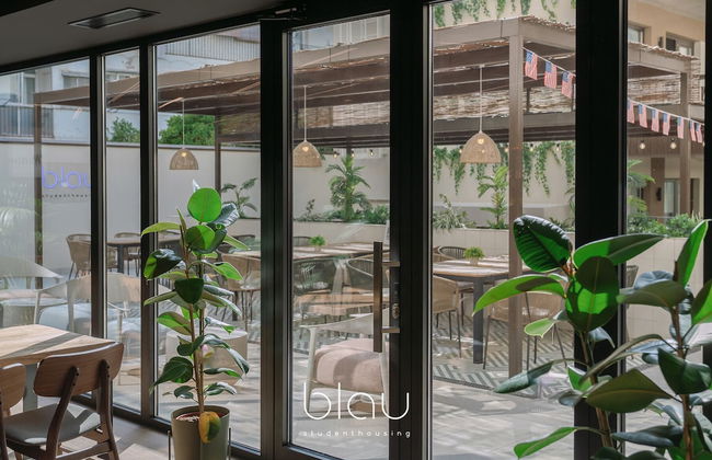 BLAU Student Housing & Language Academy - Foto 43