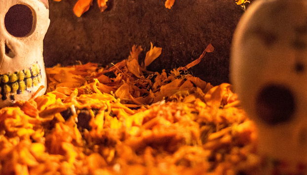 Day of the Dead Night Tour