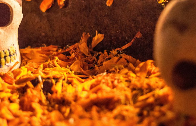 Day of the Dead Night Tour - Photo 5