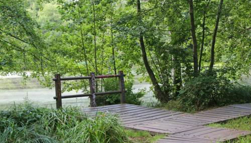Private Souterrain Apartment in the green of Berlin - Photo 2