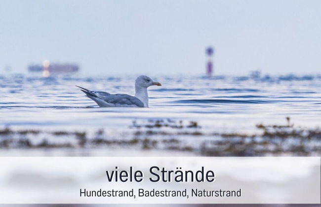 Northern Lights Modern Retreat - Photo 10