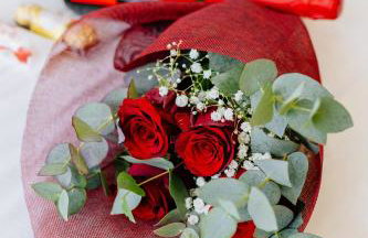 Best Villas - Park Ofir - Foto 19