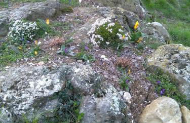 Agriturismo La Collina delle Api - Foto 54