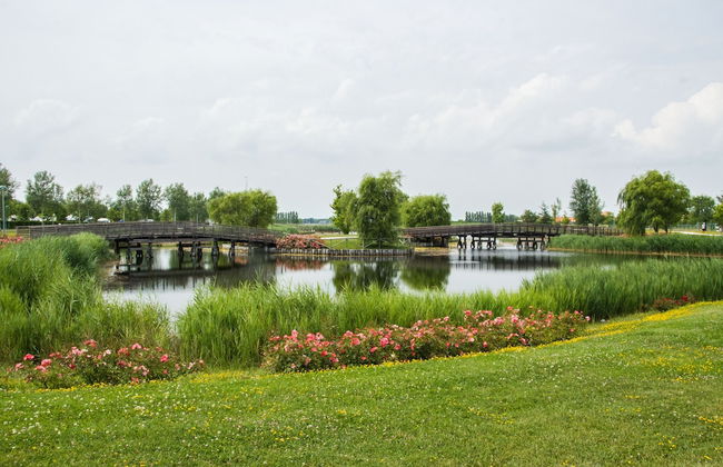 Residence Robinia Pinetine - Foto 24