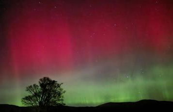 Green Field Cottage at Ardenvale Self Catering - Photo 22