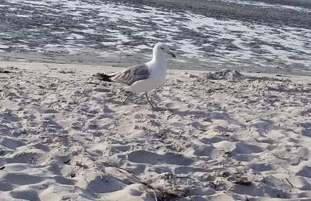 14th & Hoos - Foto 27