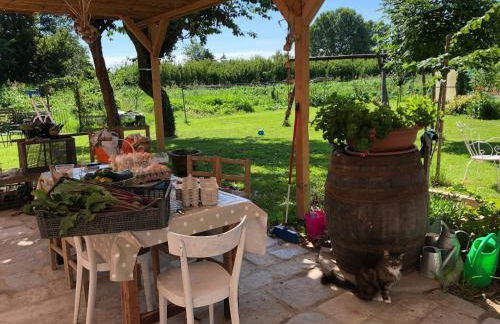 Pecore Ribelli - Photo 20