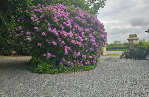 Mountpather Holiday House - Foto 16