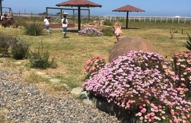 Cabañas del Faro - Foto 21