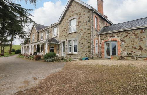 Little Silver Nugget - Foto 26