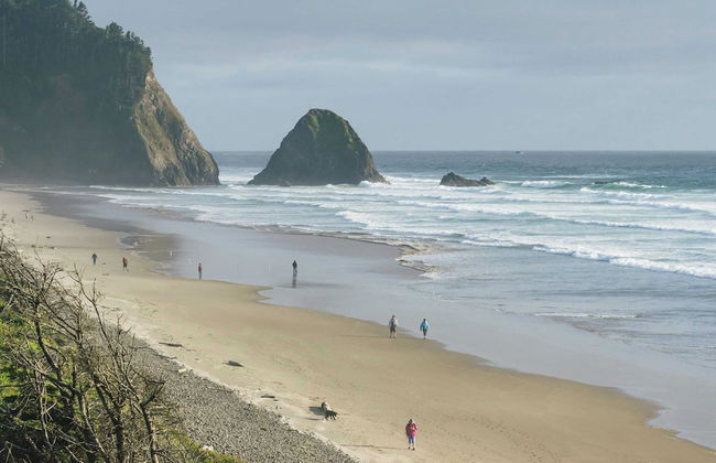 Arch Cape Escape by Avantstay Sensational Clift Top Home w/ Pacific Ocean Views - Photo 29