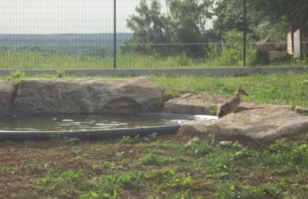 Gite Du Colombier - Foto 35