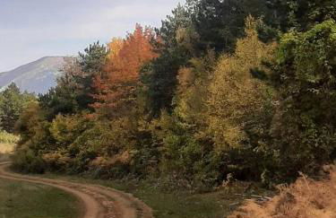 Vivi la natura PT - Photo 15