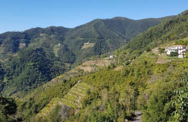 Menta Cinque Terre - Foto 26