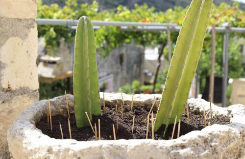 Tholos by Praxithea Stone House & Pool - Foto 29