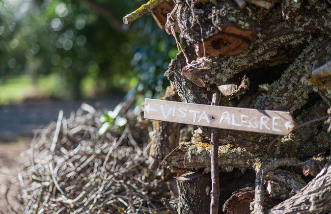 Vista Alegre in Manacor - Photo 35