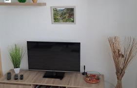 2-Raumwohnung in Dresden - Foto 10