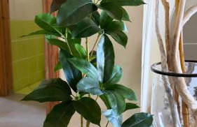 Beautiful and comfortable apartment by the sea - Foto 21