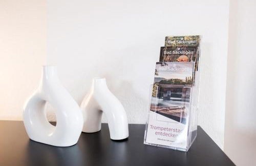 NEU Deluxe Suite Münsterblick, Maisonette, Kingsize Bett, Küche, Netflix, Aussicht, E-Kamin - Foto 12