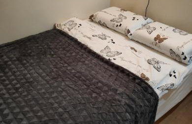 Apartament Góry Bardzkie - Foto 11