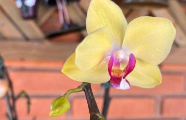 Pousada Terra Prometida - Foto 41