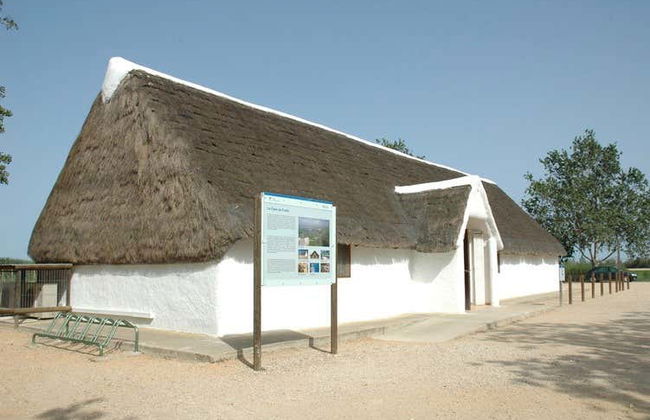 Visite de la Casa de Fusta et la lagune de l’Encanyissada - Photo 2