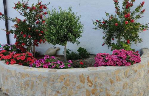 La Casa De La Abuela - Foto 49