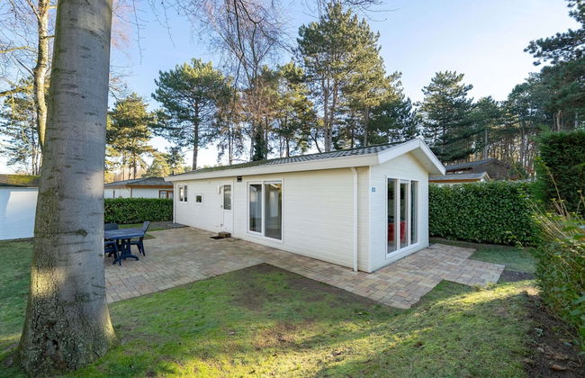 Well Furnished Chalet with Garden near Brunssummerheide - Photo 1