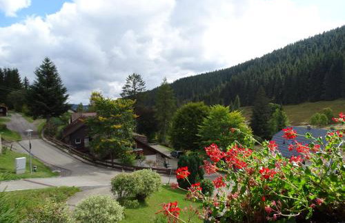 Schwarzwald-Hotel Kraeutle - Foto 66