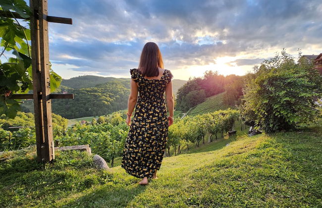 Vineyard cottage Podrzaj - Foto 14