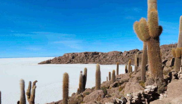 Uyuni 3 Day Tour - Foto 3