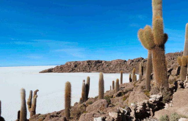 Uyuni 3 Day Tour - Photo 3
