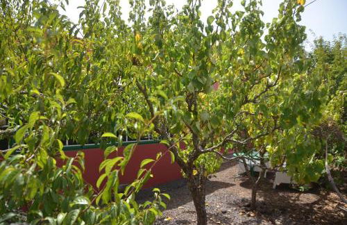 Casa La Huerta - Foto 6